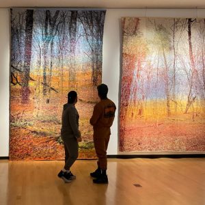 Interior Landscapes at Burchfield Penney