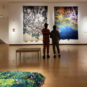 Interior Landscapes at Burchfield Penney