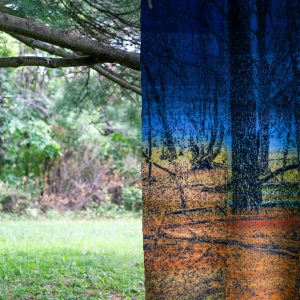 Ghost Trees at Stone Quarry Hill Art Park