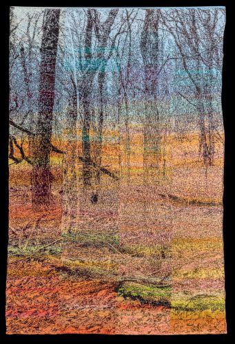 Ghost Trees Day