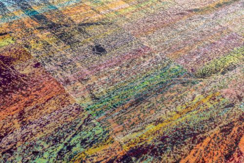 Ghost Trees Day, detail