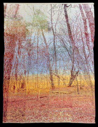 Ghost Trees Morning