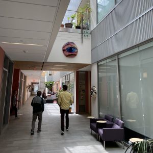 SUNY Medical University Center for Vision Research