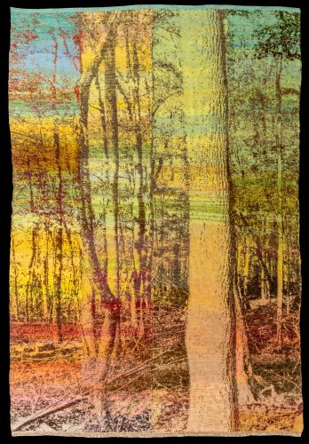 Twin Trees A, 2025