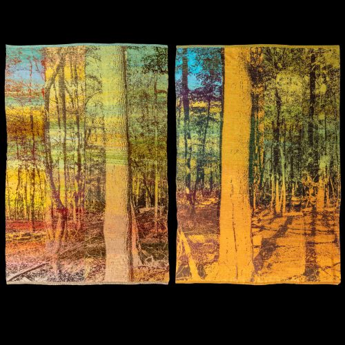 Twin Trees A and B, 2025