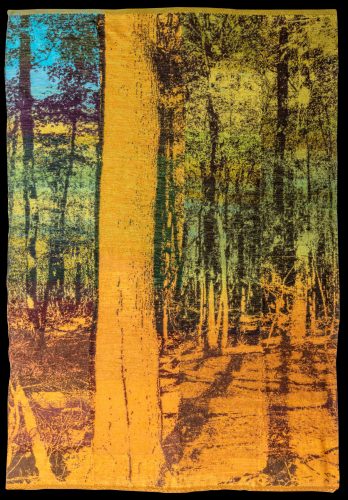 Twin Trees B, 2025